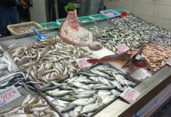 Balık tezgahının gözdesi kalkan ve kırlangıç oldu! Kilosu 150 TL