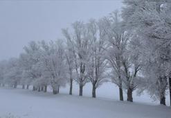 Aralık ayının en soğuk ve en sıcak şehirleri belli oldu