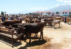 Erzincan’daki hayvan pazarında şap karantinası uygulamaya konuldu