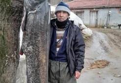 Meriç Nehri'nde 70 yaşındaki balıkçı 69 kilogram ağırlığındaki yayın balığını yakaladı