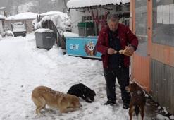 Kırklareli'nde sokak hayvanlarına köylüler sahip çıkıyor