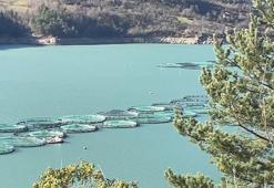 ‘Çoruh'un gerdanlıkları’ndan 3 milyar liralık gelir sağlandı! 60 bin tonluk üretim hedefi