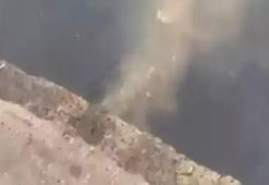 Kanalizasyonu denize akıtıyorlardı... İSKİ'ye ceza kesildi