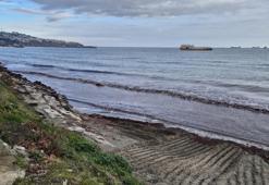 Tekirdağ sahili kırmızı yosunla kaplandı