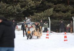 Erzurum'da görsel şölen! Geleneksel Atlı Kızak Şöleni düzenlendi