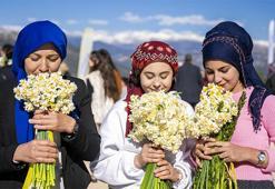 Mersin'de mis kokulu şenlik! 'Nergis çiçeği simge haline geldi'