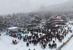 Böyle olur Karadeniz'in kış festivali! 1200 rakımda orkestra da vardı, horon da!