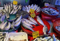 Karadeniz'de hamsi sezonu bitiyor! Kilosu 175 TL'den tezgahlarda