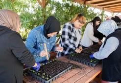 Desteklemeden güçlendirmeye kadınlar iş dünyasında daha aktif