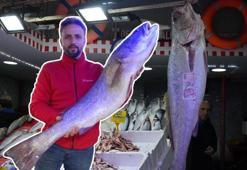 120 santimlik dev minekop 6 bin TL'ye satıldı