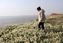 Adana'nın gizli cenneti Nergis Adası yok olma tehlikesiyle karşı karşıya! Çiçekler kurudu, yerini sazlıklar almaya başladı