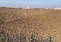 Yıllar önce kardeşlerine verdiği vekalet belgesi kabusa dönüştü: 1200 dönüm araziyi haberi olmadan kiralamışlar