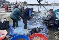 Zonguldak'ta denize çıkan balıkçılar 2 ton lüferle döndü