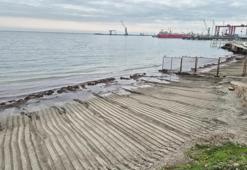 Tekirdağ'da koylarda oluşan kızıl yosunlar kötü kokuya sebep oluyor