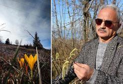 Yalancı bahar tehlikesi! Zirai don ve kar yağışı riskine karşı üreticiler endişeli