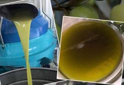 Mersin’de üretiliyor! Japonya'dan Fransa'ya çok sayıda ülkeye satılıyor