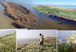 Adana’nın gizli cenneti Nergis Adası yok oluyor! 5 yılda gözle görülür oranda küçülme var: Bir an önce önlem alınması lazım