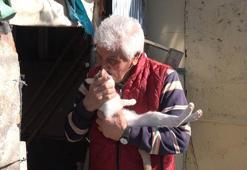 Elazığ'da emekli olan vatandaş köyüne yerleşip kedi köpek bakmaya başladı