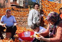 Bu meyvelerin kabuğu altın değerinde! Kapış kapış gidiyor: Yurt içi ve yurt dışından yoğun talep var