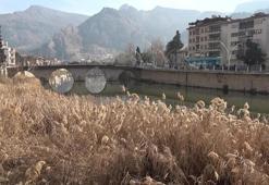 Amasya'da tedirgin eden görüntü! Alarm verildi: Yeterli olmayacak