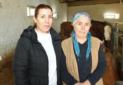 Tarım ve Orman Bakanlığı hayvancılık desteklerini 2025 yılında da artırarak devam ettiriyor! Malatya'da hayvanları telef olan vatandaşlar hayvancılık desteklerinden faydalandı