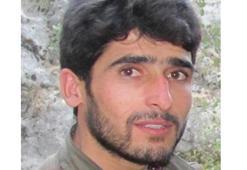 Gri kategoride yer alan teröristler yakalandı