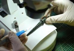 'Karadeniz’in Zeugması'nda 'Bronz Filtre' gün yüzüne çıkarıldı