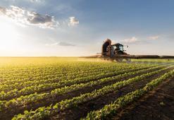 Türk tarımında tekno dönüşüm! 'Silikon Vadisi olacağına inanıyoruz'