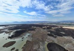 Kuş cenneti cehenneme döndü! Bin dönümlük sazlık alan kül oldu