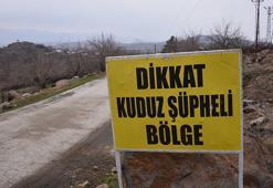 Şanlıurfa'da 3 kişiyi ısıran köpeğin kuduz olduğu ortaya çıktı! Mahalle karantinaya alındı