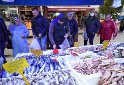 Sibirya soğukları hamsiye yaradı! Kilosu 150 liradan alıcı buluyor