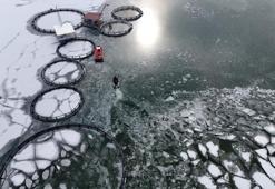 Sibirya soğuklarının yaşandığı Erzincan'da göller buz tuttu!