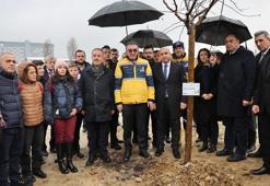 Bayrampaşa'da fidanlar, yangın felaketinde yaşamını yitiren 78 can için yeşerecek