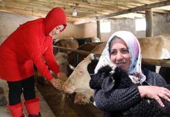 Üretimi artıracak, ithalatı bitirecek hamle! Planlar yapıldı, yeni destekler geliyor