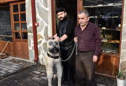 Sivas'ta ahşap oyma ustası gerçek boyutunda Kangal köpeği yaptı