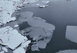 Köylüler inanamadı! Günlerce kar yağınca ortaya çıktı, ilk kez oluyor