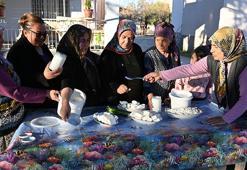 Osmaniye'de köylü kadınlardan örnek girişim: Kooperatifle kazançlarını artırıyorlar