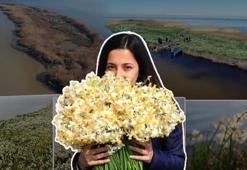 Nergis Adası yok oluyor! 'Bir an önce önlem alınması lazım'