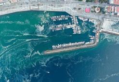 Çanakkale'de müsilaj kabusu! Bir aydır denize ağ atamıyorlar