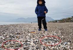 Balığa gidenler dikkat! Bu balığı yakaladıktan sonra sahilde bırakmanın cezası çok büyük