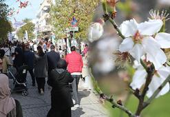 Badem çiçekleri açtı, Datça’da festival coşkusu yaşandı