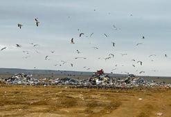 Bakanlıktan, Ankara Büyükşehir  Belediyesi'ne 5 milyon TL 'çevre kirliliği' cezası