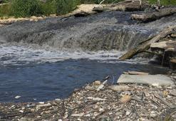 Suyun kalitesini hızla düşürüyor! 'Tatlı su krizi kapıda'