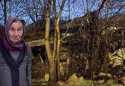 Ankara'da hayvansever olarak bilinen yaşlı kadının şüpheli ölümü: Sabah hedef gösterildi akşam yangında can verdi