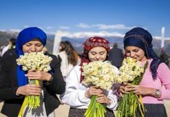 Mersin'de 'Nergis Şenliği' fotoğraf yarışmasının kazananları ödüllerini aldı
