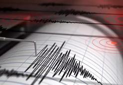 Erzurum'da 4.4 büyüklüğünde deprem