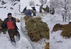 Hakkari'de 30 yıldır aynı yöntem kullanılıyor! 3 bin metreden indiriyorlar