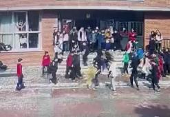 Ümraniye'de okulda köpek dehşeti! 5 öğrenci ve 1 öğretmeni yaraladı, sahibi gözaltında