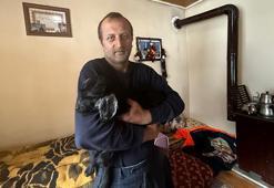 Gümüşhane'de besiciden örnek davranış: Uyutulsun denilen felçli oğlak 'Mıstık' özel yürüteçle yürüyor