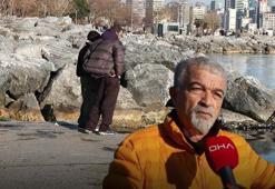 Marmara Denizi'nde korkutan görüntü! Kadıköy sahilinde görülmeye başladı, Uzmanlardan önlem uyarısı: Balık türlerinin artması lazım